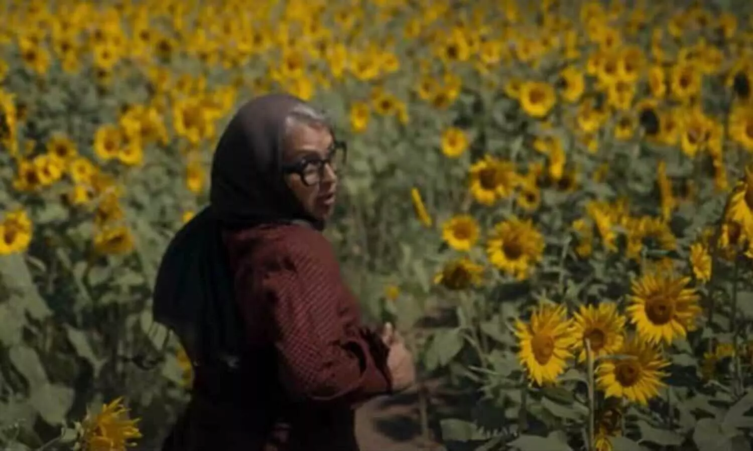 Bougainvillea Trailer Released on  October 17