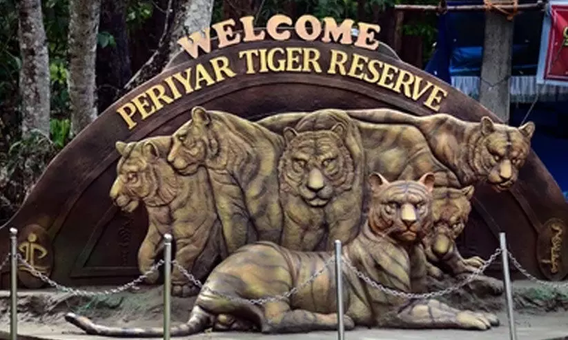 വനമേഖല: എയ്ഞ്ചൽവാലി, പമ്പാവാലി വാർഡുകൾ ഒഴിവാകും വനമേഖല: എയ്ഞ്ചൽവാലി, പമ്പാവാലി വാർഡുകൾ ഒഴിവാകും