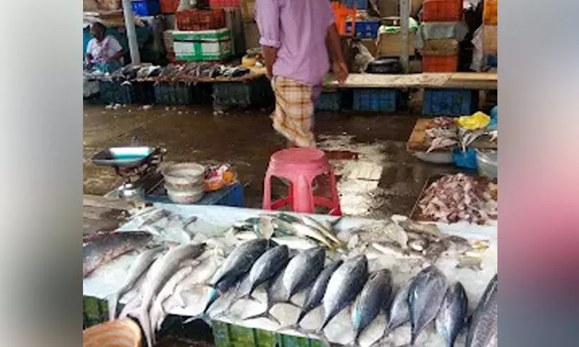 പുലയൻവഴി മത്സ്യമാർക്കറ്റ്​ ഒഴിപ്പിക്കൽ; ജനുവരി 31വരെ സാവകാശം