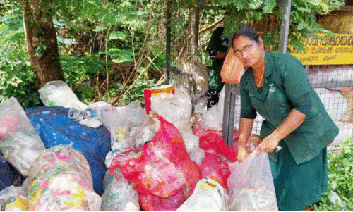ക​വി​ത തു​ളു​മ്പു​ന്ന ഹ​രി​ത​ക​ർ​മ സേ​ന പ്ര​വ​ർ​ത്ത​ക