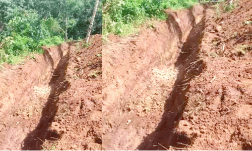 പള്ളിവാസലിൽ ആനക്കിടങ്ങ്​ നിർമാണം പൂർത്തിയാകുന്നു