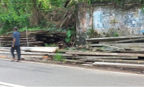 പൂജപ്പുര ചാടിയറ റോഡില്‍ ഇഴജന്തു ശല്യം