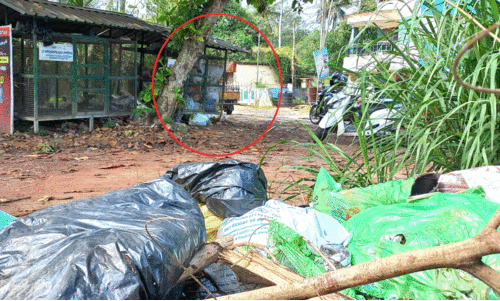 മാലിന്യനിക്ഷേപ കേന്ദ്രമായി സ്റ്റുഡിയോ റോഡ്​