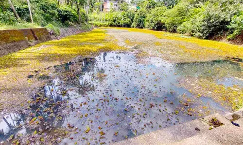 പട്ടിശ്ശീരി കുളം നവീകരണത്തിന് 30 ലക്ഷം