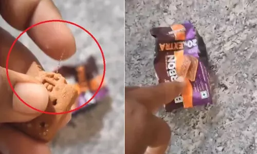 iron wire in bourbon biscuit