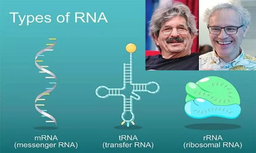ജനിതക ചികിത്സയിൽ പുതിയ അധ്യായം തുറക്കുന്നു ജനിതക ചികിത്സയിൽ പുതിയ അധ്യായം തുറക്കുന്നു