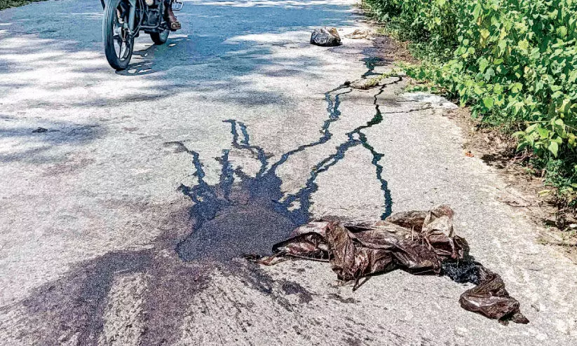 മാ​ലി​ന്യ​മു​ക്ത കേ​ര​ളം കാ​മ്പ​യി​നൊ​പ്പം മാ​ലി​ന്യം ത​ള്ള​ലും വ്യാപകം