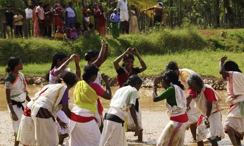 ആദിവാസികൾക്ക് വിതരണം ചെയ്യാൻ കേന്ദ്രാനുമതി ലഭിച്ച വനഭൂമിയിൽ  10,000 ഏക്കർ വിതരണം ചെയ്തിട്ടില്ലെന്ന് എ.കെ. ശശീന്ദ്രൻ