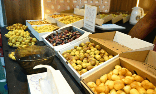 Liwa Dates Festival