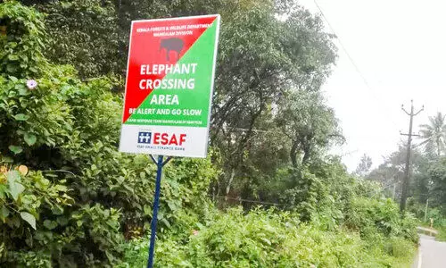 forest department board