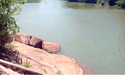 വാമനപുരം നദി: പാറയിൽകടവ് പാലം ഇപ്പോഴും സ്വപ്നം