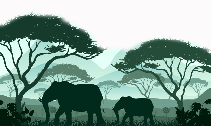 ഭീതി കാടിറങ്ങുന്നു... ഭീതി കാടിറങ്ങുന്നു...