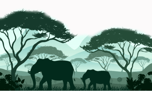 ഭീതി കാടിറങ്ങുന്നു...