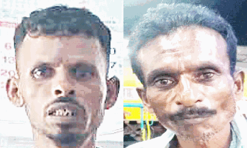 ചന്ദനമരം മുറിച്ച കേസിൽ രണ്ട് തമിഴ്നാട്ടുകാർ പിടിയിൽ