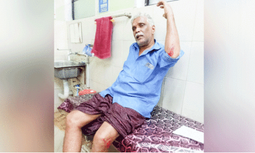 കാട്ടുപന്നി ആക്രമണം: ക്ഷീരകർഷകന്​ പരിക്ക്