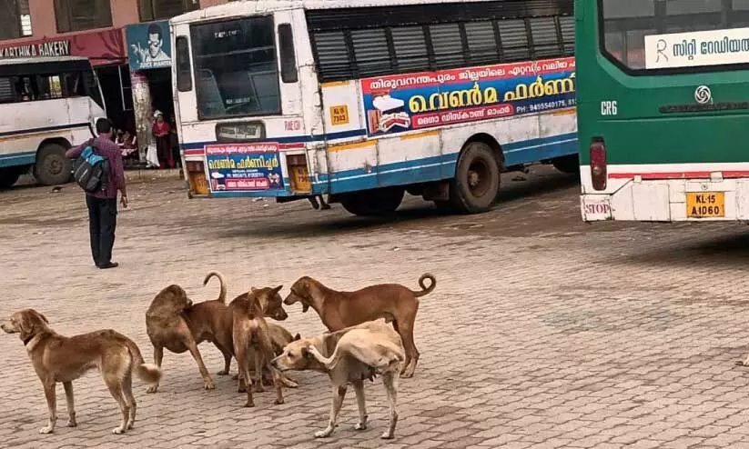 thiruvananthapuram news