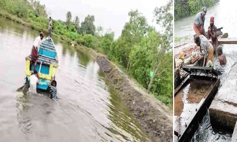 കൃഷിയിടം ഒരുക്കി; നെൽവിത്തുകൾ കിട്ടാനില്ല കൃഷിയിടം ഒരുക്കി; നെൽവിത്തുകൾ കിട്ടാനില്ല