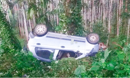 കാ​ർ ക​വു​ങ്ങി​ൻ തോ​ട്ട​ത്തി​ലേ​ക്ക് മ​റി​ഞ്ഞ് ഒ​രു മ​ര​ണം