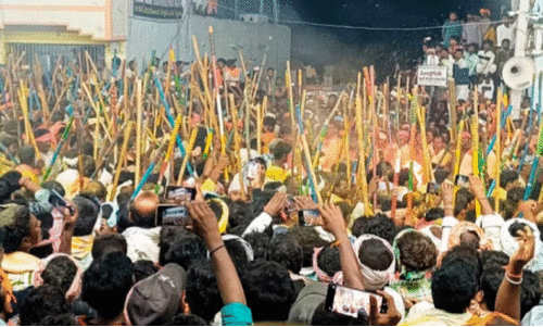 Banny stick fight festival