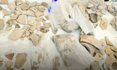 Ancient Pottery Collection Scheme