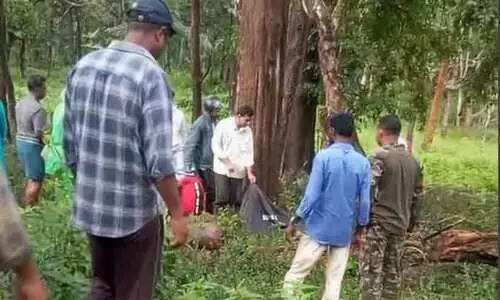 മുത്തങ്ങയിൽ മാൻ കുറുകെ ചാടി ബൈക്ക് യാത്രികൻ മരിച്ചു