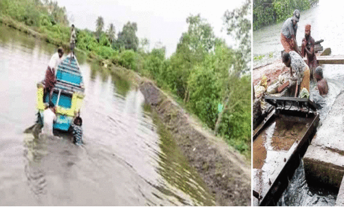 കൃ​ഷി​യി​ടം ഒ​രു​ക്കി; നെ​ൽ​വി​ത്തു​ക​ൾ കി​ട്ടാ​നി​ല്ല