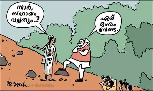 പറ്റുമെങ്കിൽ ഫ്രെയിമിൽ നിന്ന് ഒന്ന് മാറിനിൽക്കാമോ?