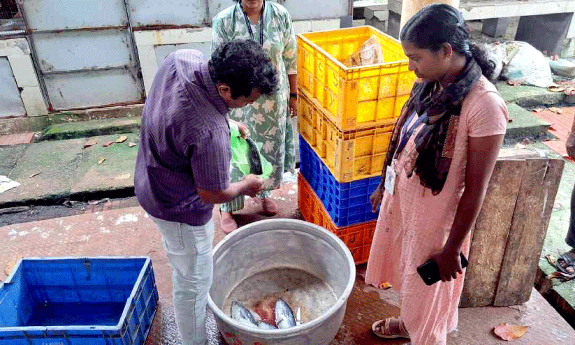 ഹോട്ടലുകളിലും മാർക്കറ്റുകളിലും ആരോഗ്യവിഭാഗം പരിേശാധന ഹോട്ടലുകളിലും മാർക്കറ്റുകളിലും ആരോഗ്യവിഭാഗം പരിേശാധന
