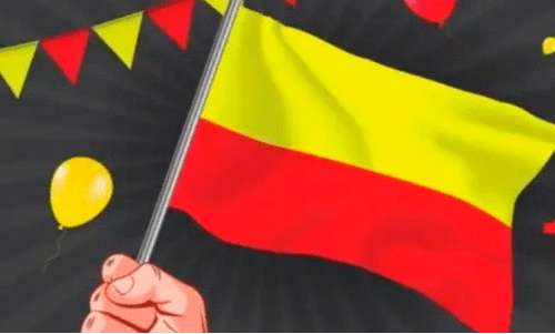 Karnataka flag