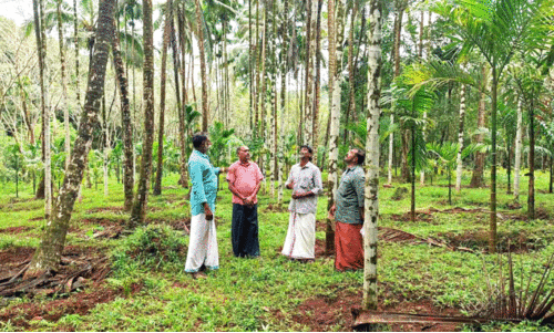 കാര്‍ഷിക വിളകള്‍ മോഷ്ടിക്കുന്നതായി പരാതി