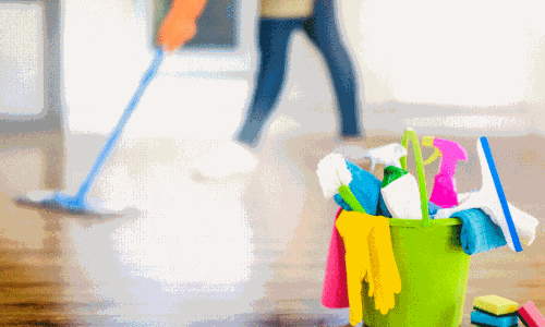 Domestic worker problem,