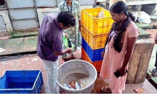 ഹോട്ടലുകളിലും മാർക്കറ്റുകളിലും ആരോഗ്യവിഭാഗം പരി​േശാധന