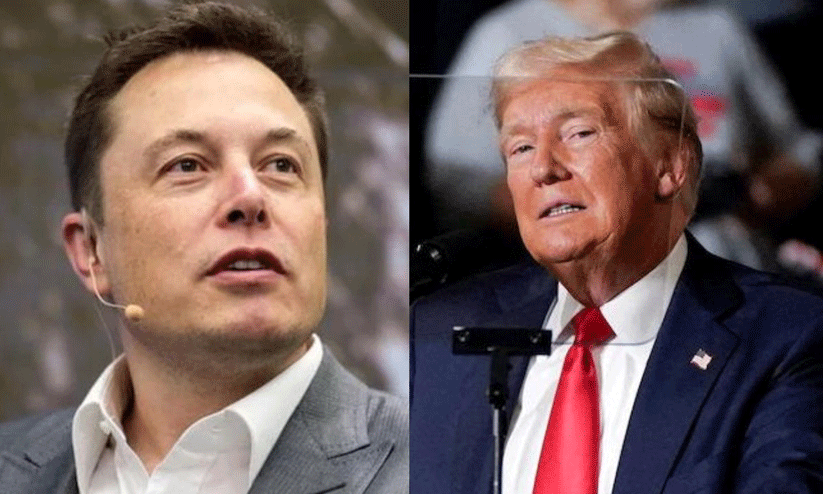 trump and musk trump and musk