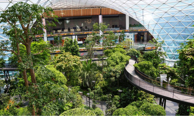 Orchard Garden Orchard Garden