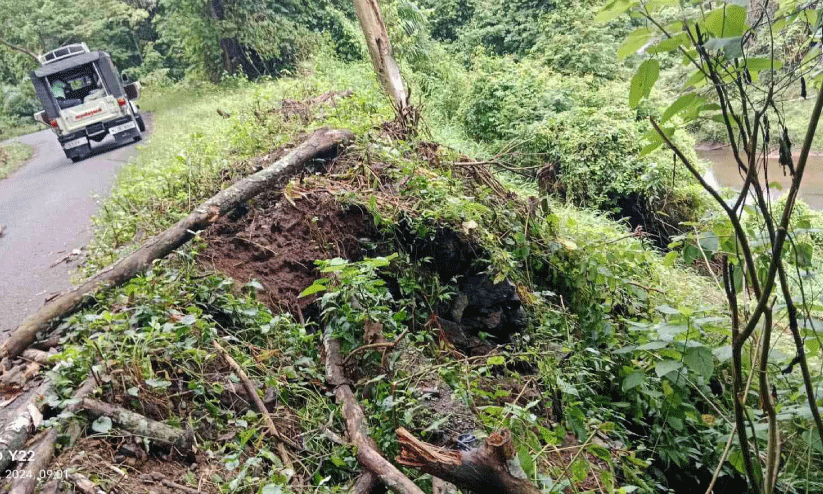 Achankovil forest road