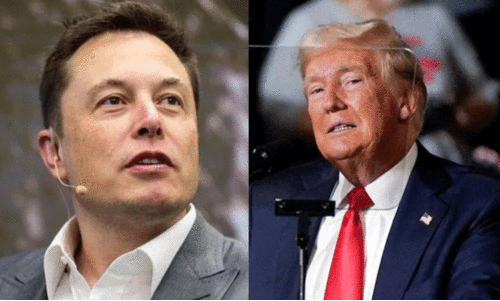 trump and musk