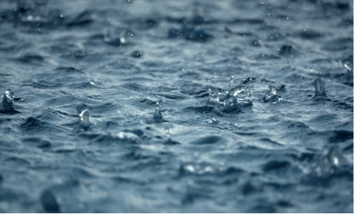 വെള്ളത്തിൽ ഒറ്റപ്പെട്ടവരെ ട്രാക്ടറുകളിൽ രക്ഷിച്ചു വെള്ളത്തിൽ ഒറ്റപ്പെട്ടവരെ ട്രാക്ടറുകളിൽ രക്ഷിച്ചു