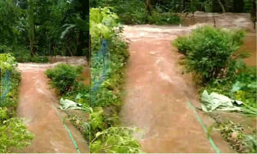 ബി​രി​ക്കു​ള​ത്ത് മേ​ഘ വി​സ്ഫോ​ട​നം? അ​തിതീ​വ്ര​ മ​ഴ​യി​ൽ മ​ല​വെ​ള്ള​പ്പാ​ച്ചി​ൽ