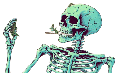 ലഹരിവ്യാപനം; ജനജാഗ്രത സമിതി രൂപവത്​കരിച്ചു