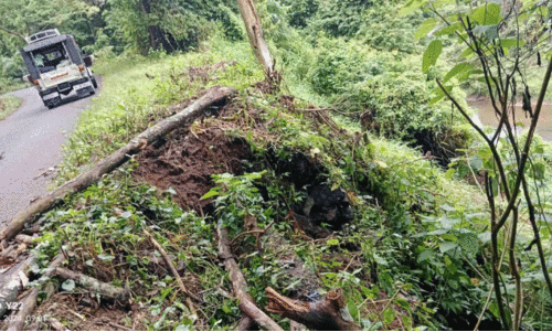 Achankovil forest road Achankovil forest road