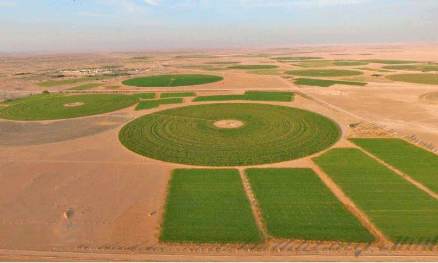 ഭ​ക്ഷ്യ​സു​ര​ക്ഷ; ‘കാ​ർ​ഷി​ക ന​ഗ​ര​ങ്ങ’​ളു​മാ​യി ഒ​മാ​ൻ