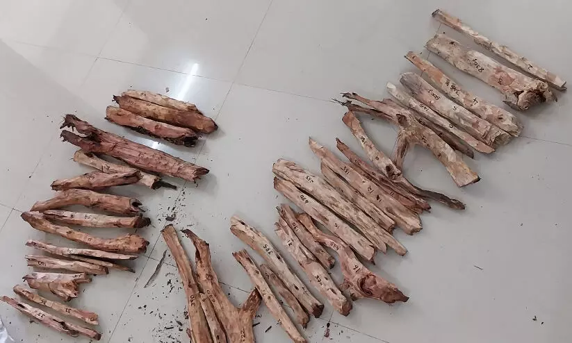 വീട്ടിൽ സൂക്ഷിച്ച 38 ചന്ദന മുട്ടികൾ പിടികൂടി വീട്ടിൽ സൂക്ഷിച്ച 38 ചന്ദന മുട്ടികൾ പിടികൂടി