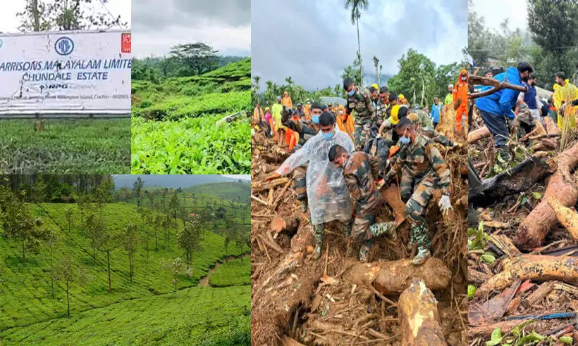 വയനാട് ഭൂമി ഏറ്റെടുക്കൽ: ഹാരിസൺസും സർക്കാരും തമ്മിൽ നിയമ യുദ്ധത്തിലേക്ക്