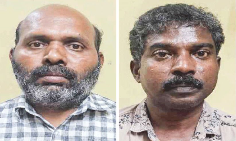 ആനപ്പല്ല് കൈവശംവെച്ചതിന് രണ്ടുപേർ പിടിയിൽ