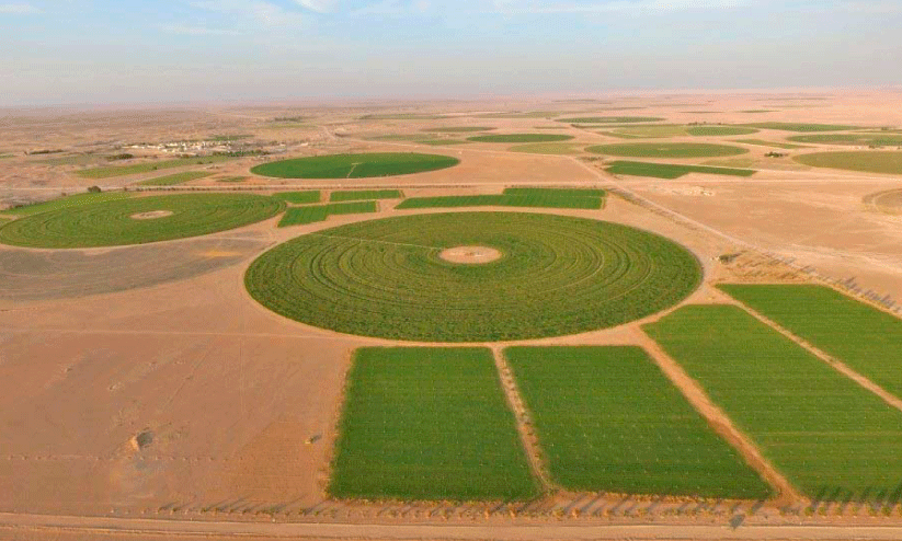 ഭ​ക്ഷ്യ​സു​ര​ക്ഷ; ‘കാ​ർ​ഷി​ക ന​ഗ​ര​ങ്ങ’​ളു​മാ​യി ഒ​മാ​ൻ