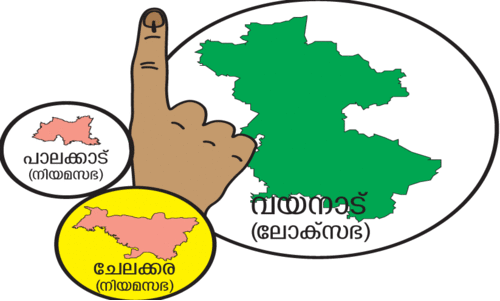 സരിനെ നേരിടാനുറച്ച്​ കോൺ​​​ഗ്രസ്