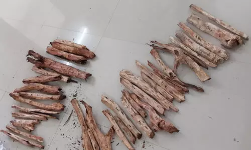 വീട്ടിൽ സൂക്ഷിച്ച 38 ചന്ദന മുട്ടികൾ പിടികൂടി