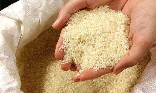 വിവാദങ്ങൾക്കിടെ ഇരുമ്പ് സമ്പുഷ്ട അരിക്ക് ഫുഡ് സേഫ്റ്റി അതോറിറ്റിയുടെ അംഗീകാരം; മുന്നറിയിപ്പ് ലേബൽ   എടുത്തു കളഞ്ഞെന്ന് കേന്ദ്രം