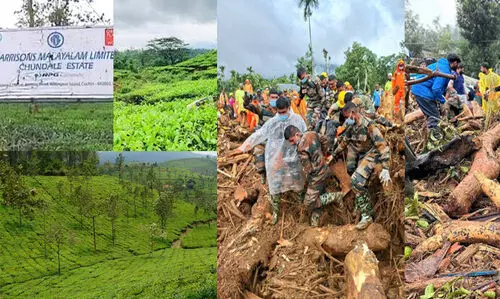 വയനാട് ഭൂമി ഏറ്റെടുക്കൽ: ഹാരിസൺസും സർക്കാരും തമ്മിൽ നിയമ യുദ്ധത്തിലേക്ക്