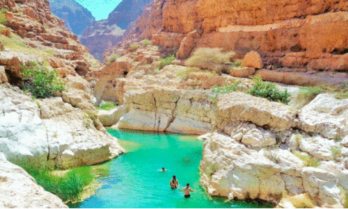 wadi alshab